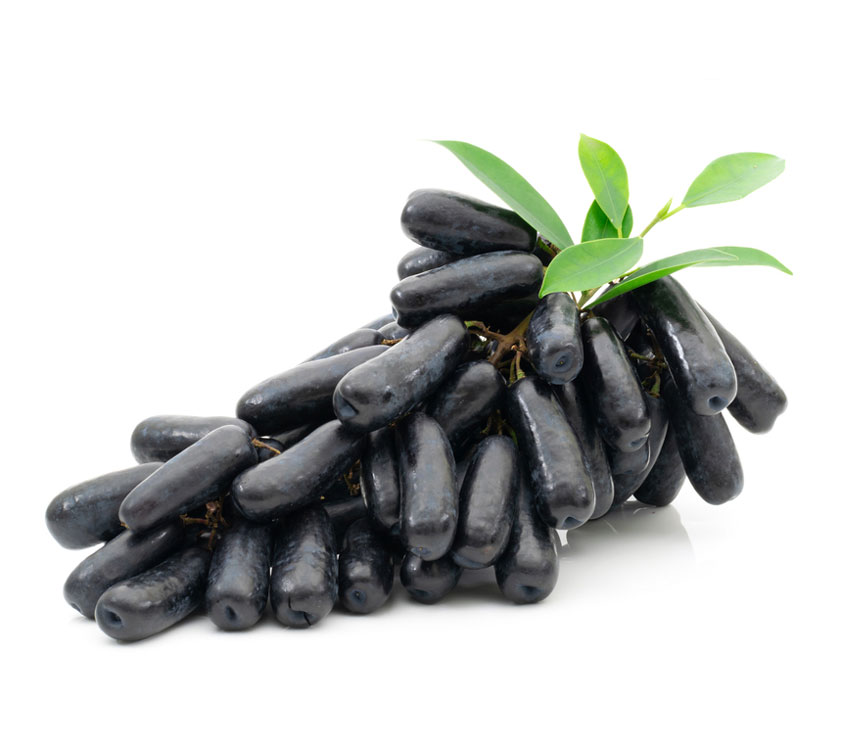 نهال انگور شمشیری